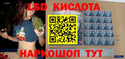 крисы Кингисепп