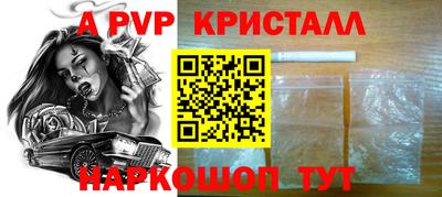 крисы Кингисепп