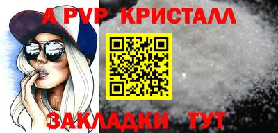 крисы Кингисепп