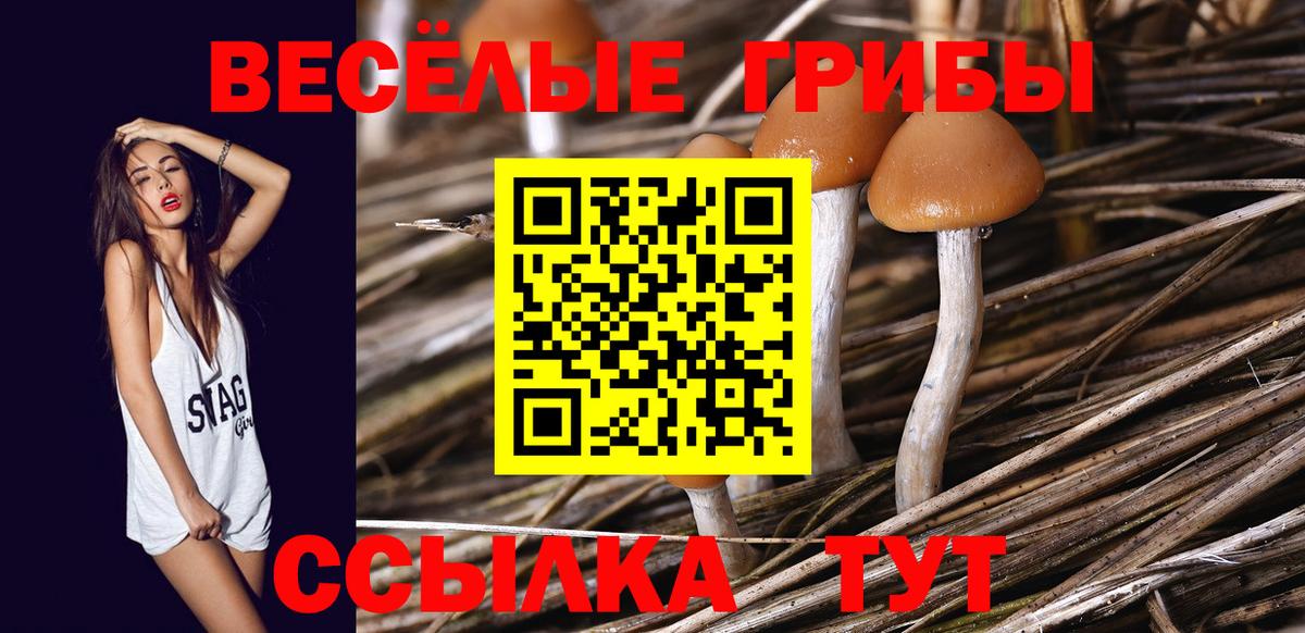 Корсаков  Галлюциногенные грибы мицелий  Вход с VPN  Галлюциногенные грибы MAGIC MUSHROOMS 