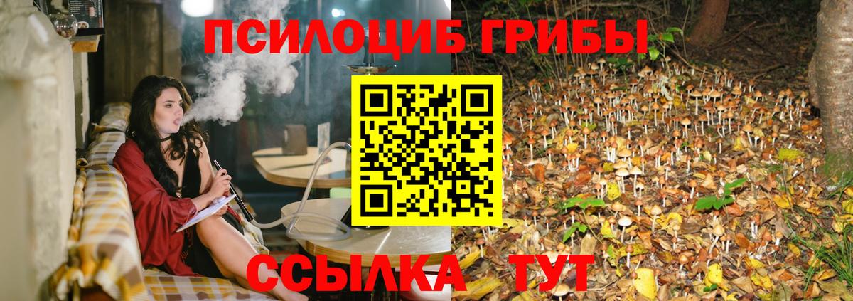 Псилоцибиновые грибы Cubensis Корсаков